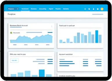 Xero Software